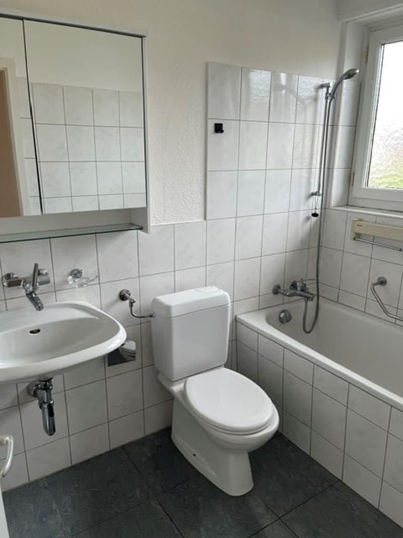 schöne und geräumige 4 1/2 Zimmer Wohnung an guter Lage (6)