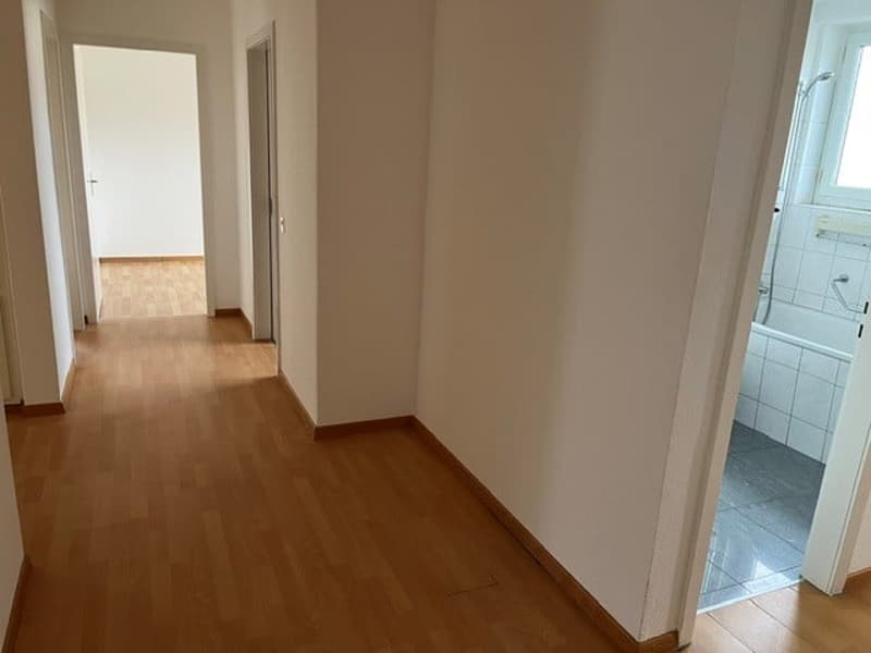 schöne und geräumige 4 1/2 Zimmer Wohnung an guter Lage (5)