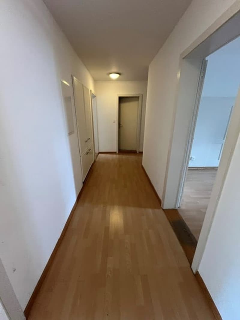 schöne und geräumige 3.5 Zimmer Wohnung (4)