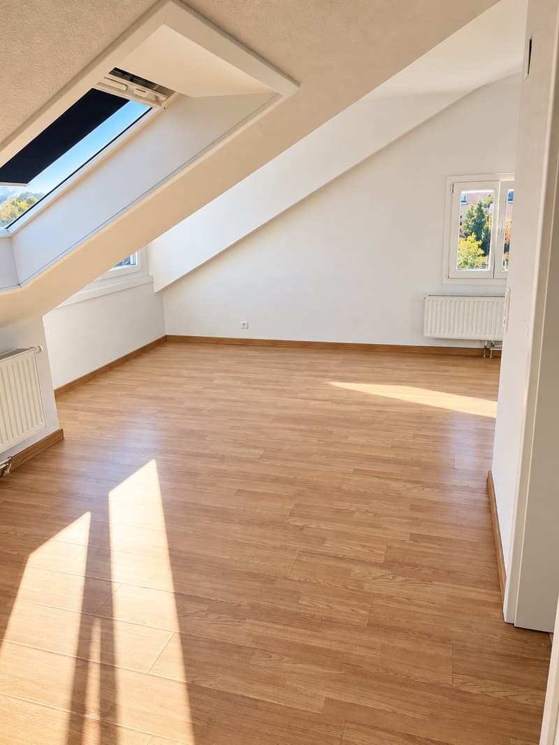 Geräumige 2-Zi. Wohnung beim Untersee (3)