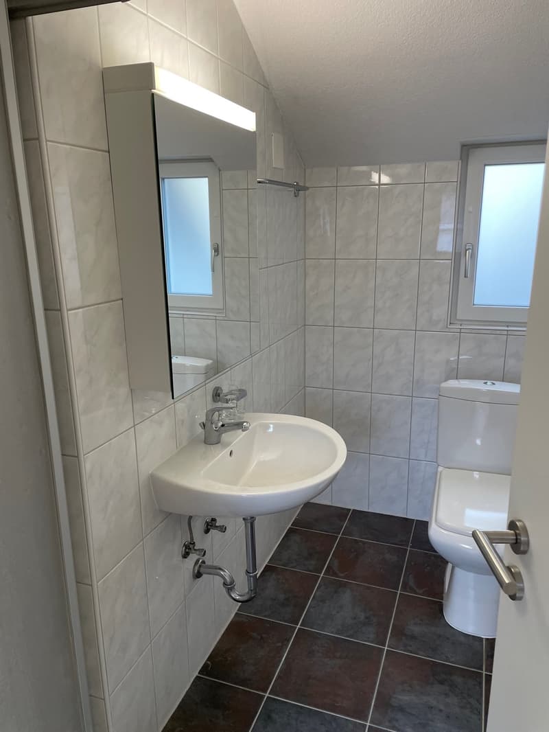 Geräumige 2-Zi. Wohnung beim Untersee (6)