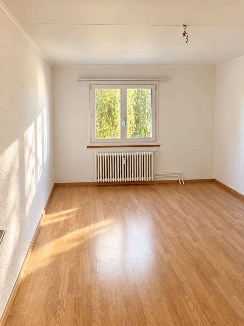 Geräumige 2-Zi. Wohnung beim Untersee (4)