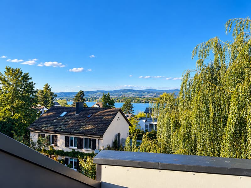 Geräumige 2-Zi. Wohnung beim Untersee (1)