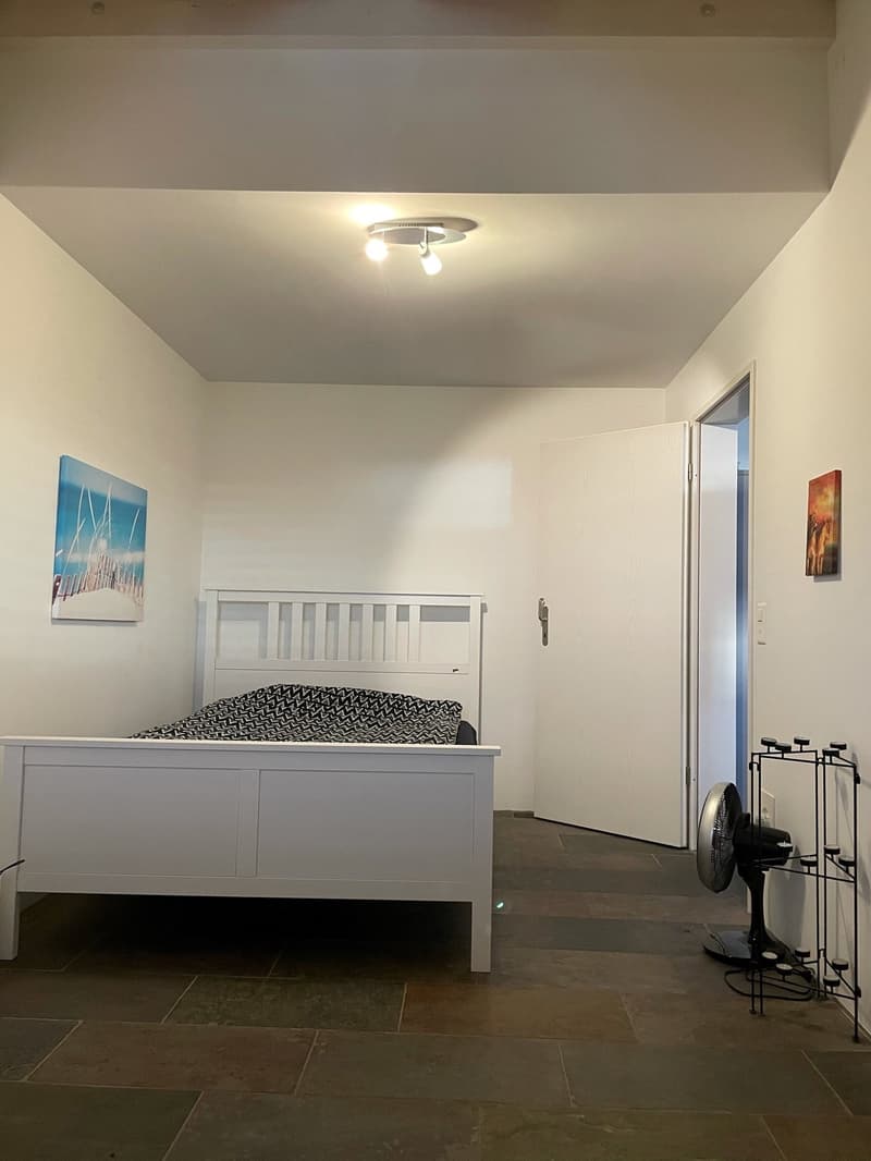 3 1/2-Zimmer-Maisonette-Wohnung mit traumhafter Aussicht (13)