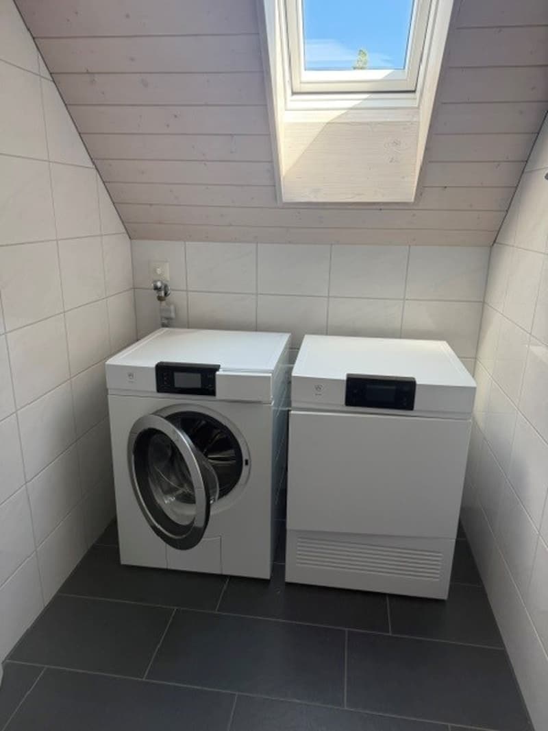 Grosszügige Maisonette-Wohnung im Grünen gelegen (23)