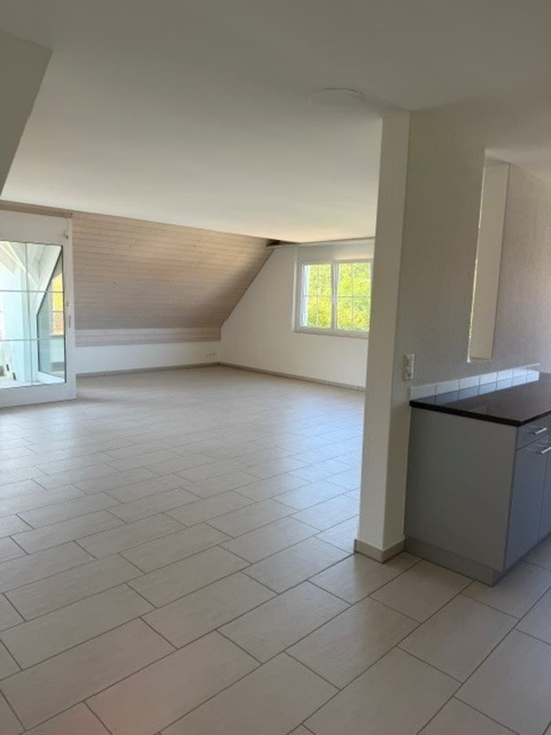 Grosszügige Maisonette-Wohnung im Grünen gelegen (6)