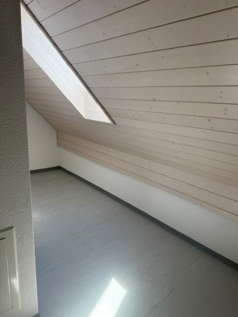 Grosszügige Maisonette-Wohnung im Grünen gelegen (21)