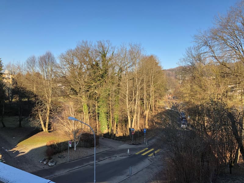 Schöne 2 ½ Zimmer-Wohnung mit Blick ins Grüne (2)