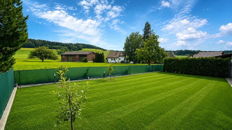 Grosszügiges Zuhause in 8127 Küsnacht mit viel Privatsphäre und Weitsicht (2)