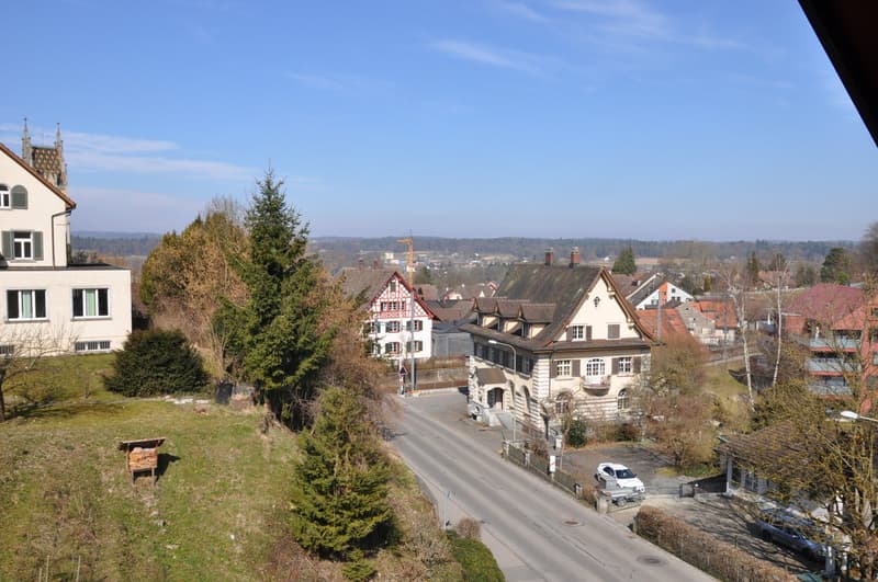 heimelige 3 Zimmerwohnung an zentraler Lage (12)