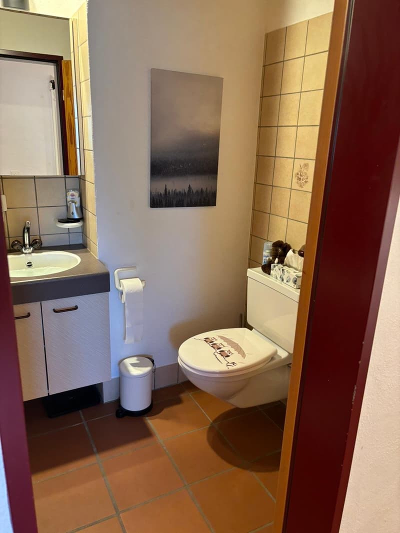 heimelige 3 Zimmerwohnung an zentraler Lage (7)