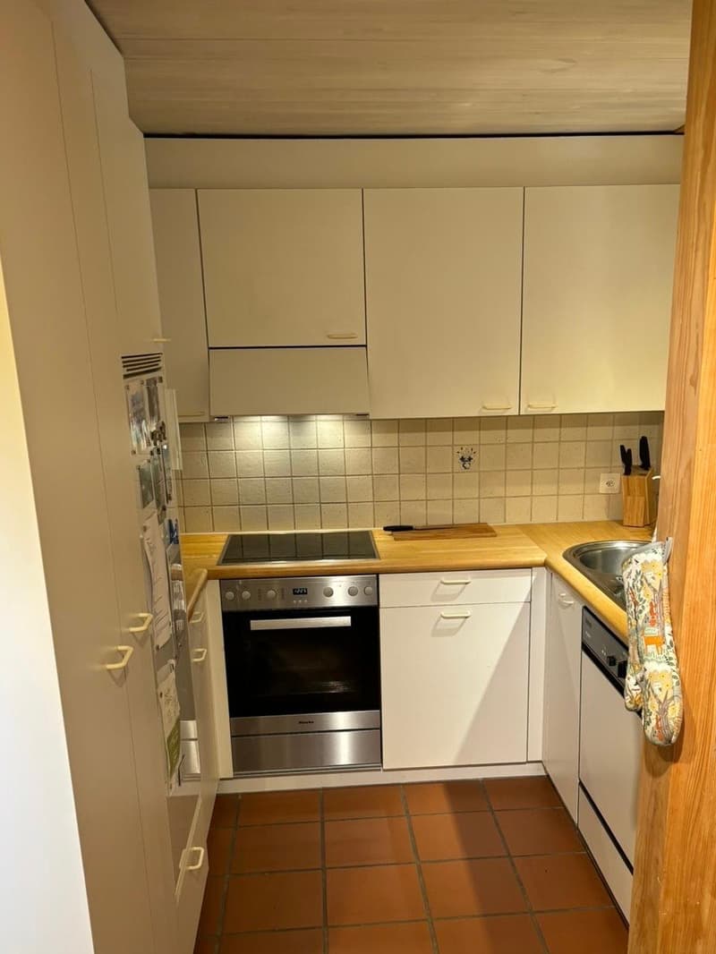heimelige 3 Zimmerwohnung an zentraler Lage (5)