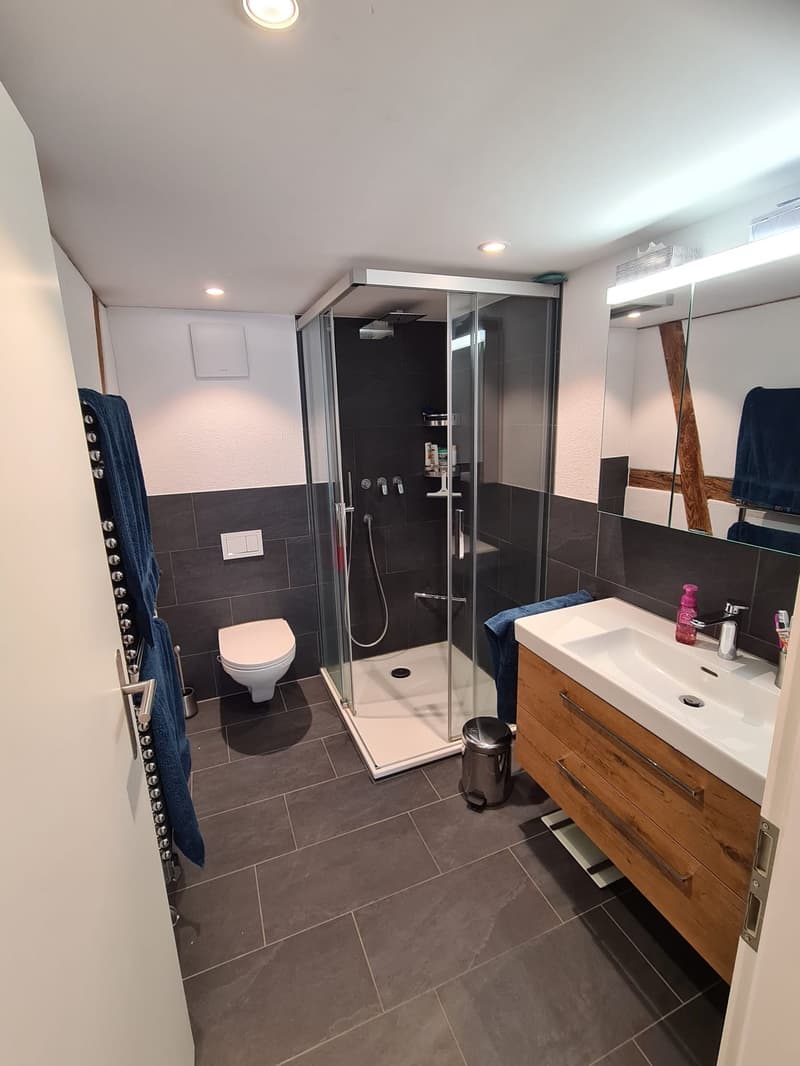Wunderschöne Maisonettewohnung, Eigentumsstandard (7)