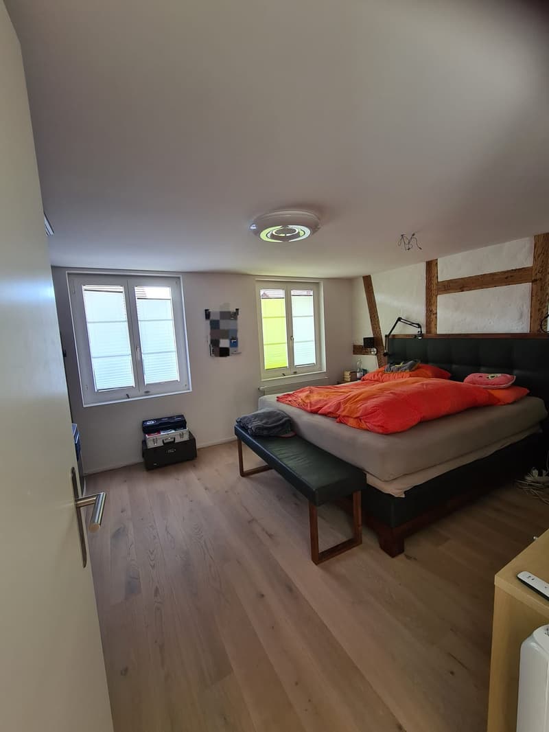 Wunderschöne Maisonettewohnung, Eigentumsstandard (6)