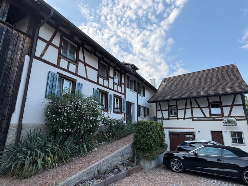 Charmantes Einfamilienhaus in Gehdistanz zum Rhein (2)
