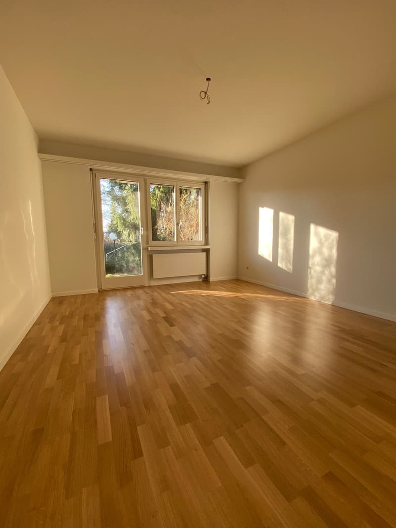 3 1/2 Zimmerwohnung in gepflegtem Wohnhaus (7)