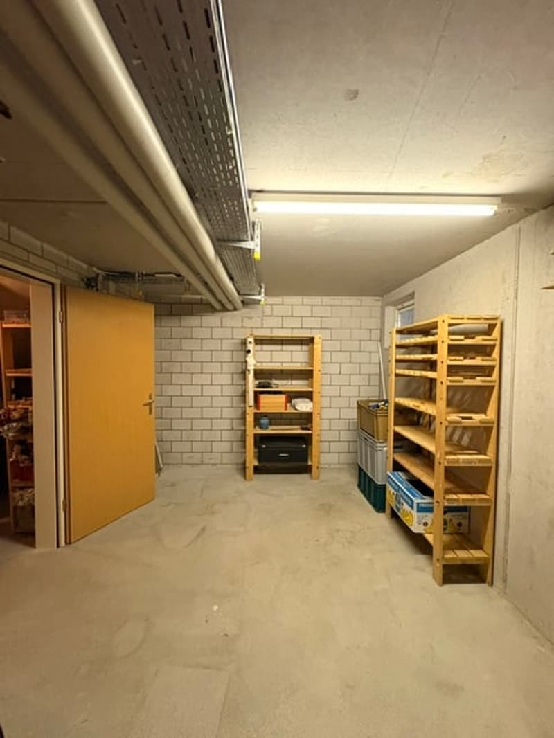 5 1/2 Zimmer Reihenhaus mit grossem Garten (24)