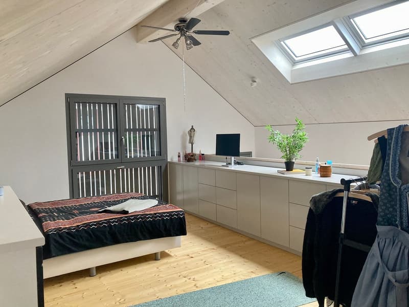 Tiny House mit Klimaanlage (6)
