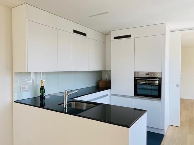 Moderne Wohnung in Albisrieden (2)