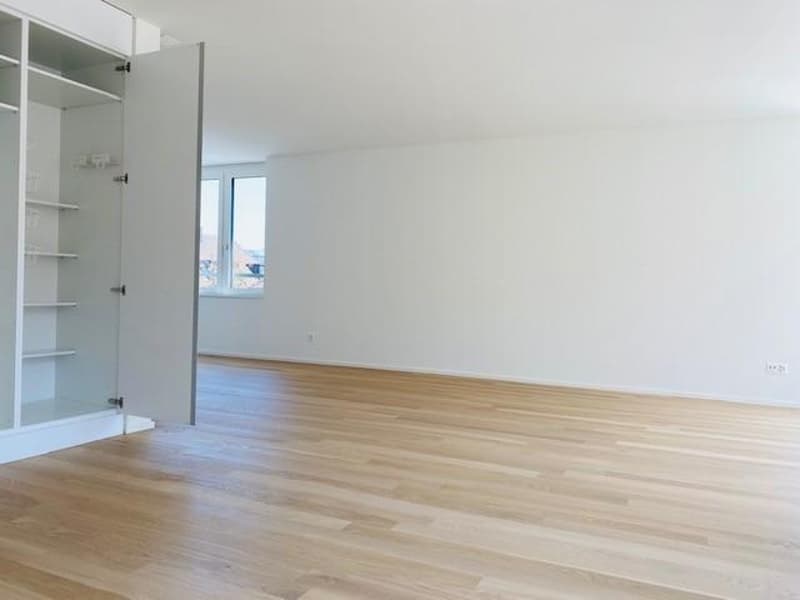 Moderne Wohnung in Albisrieden (6)