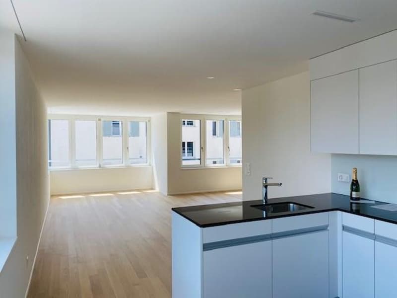 Moderne Wohnung in Albisrieden (4)