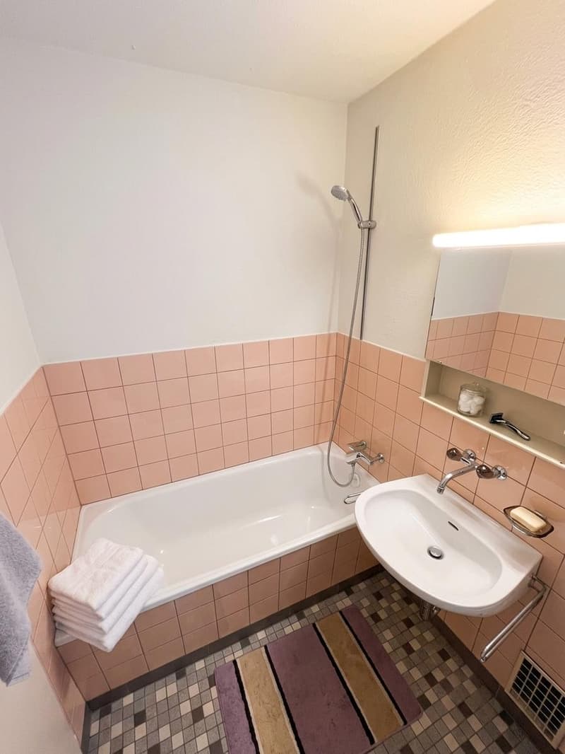 Charmante 1.0-Zimmer-Wohnung im Herzen von Zürich-Altstetten (4)