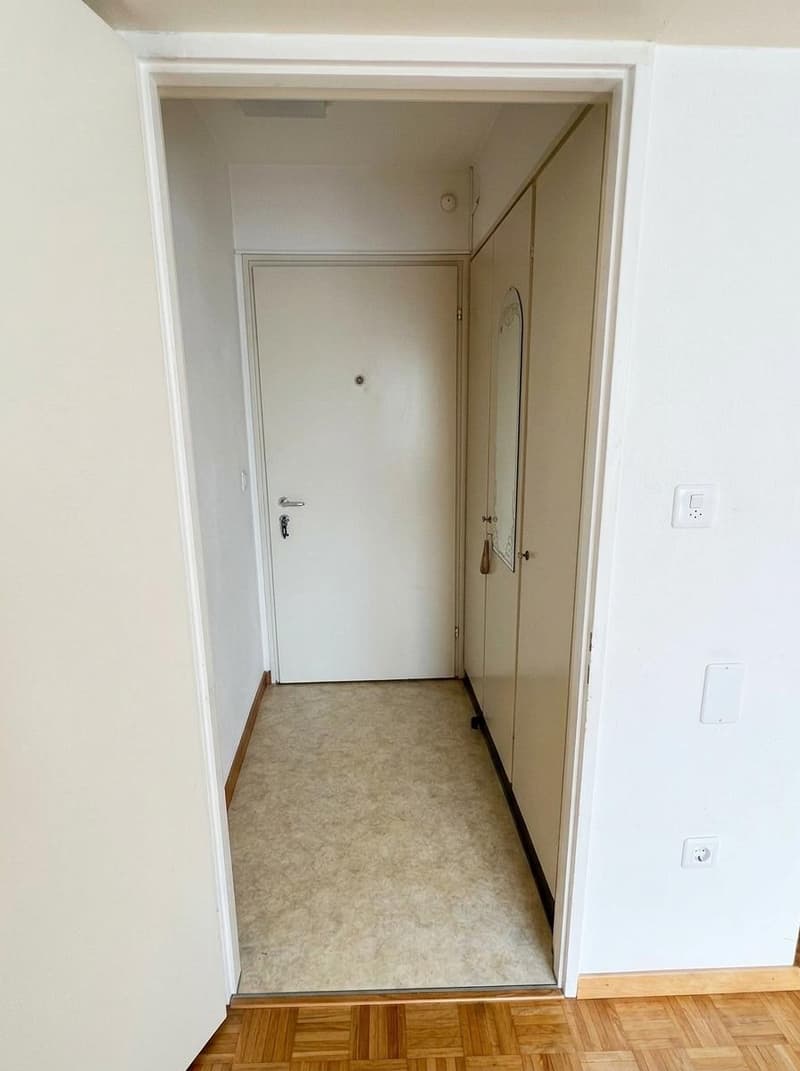 Charmante 1.0-Zimmer-Wohnung im Herzen von Zürich-Altstetten (5)