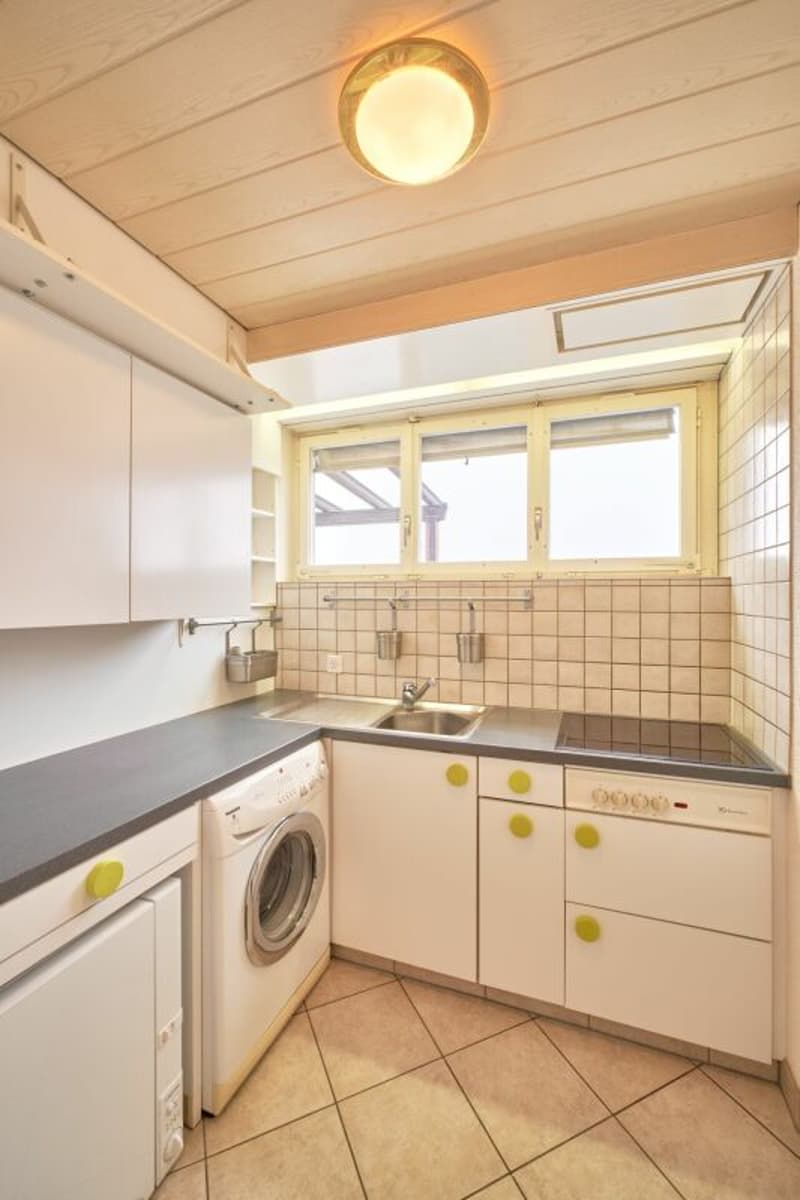 Terrassenwohnung beim Triemli mit fantastischem Ausblick (3)