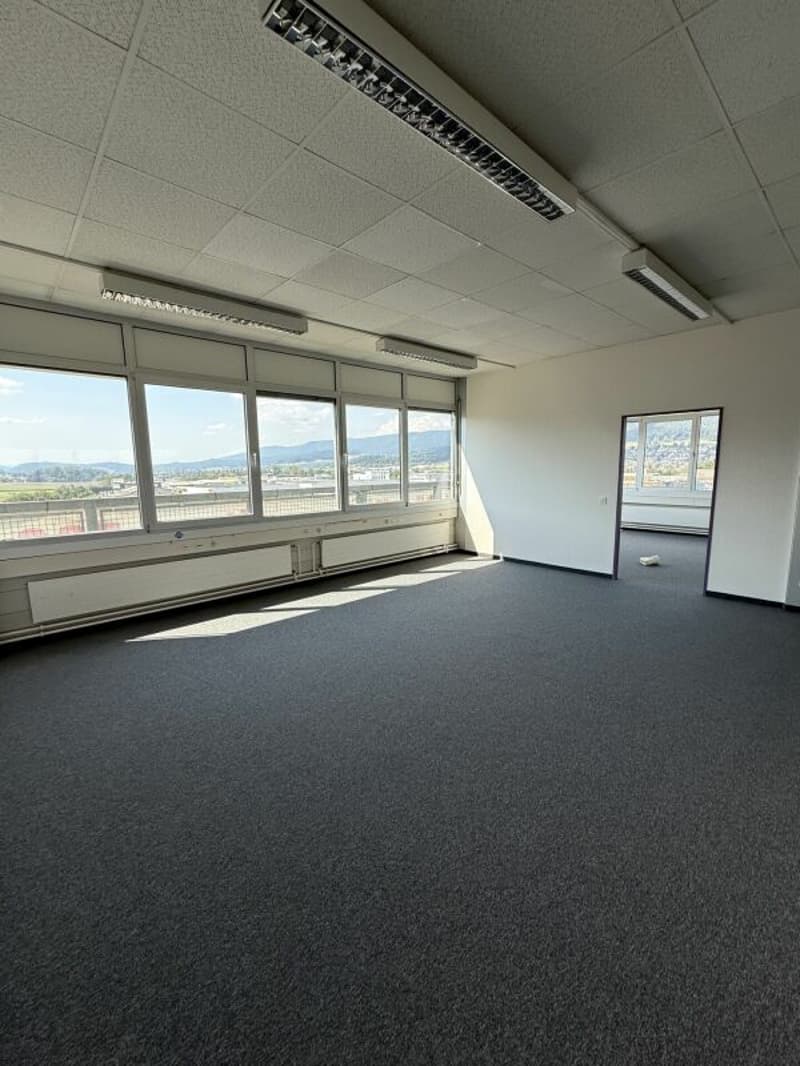 Stolze Gewerbeliegenschaft in Dällikon (6)