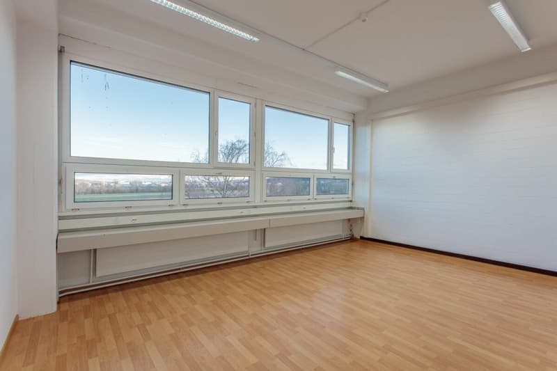 Stolze Gewerbeliegenschaft in Dällikon (3)
