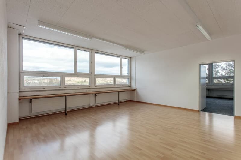 Stolze Gewerbeliegenschaft in Dällikon (4)