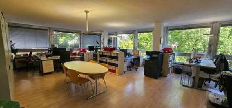 Gewerbeliegenschaft in der Wohnzone (5)