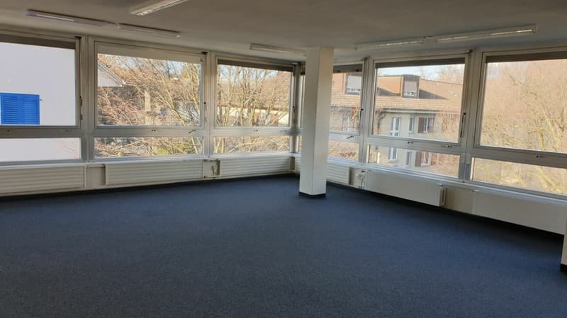 Gewerbeliegenschaft in der Wohnzone (4)