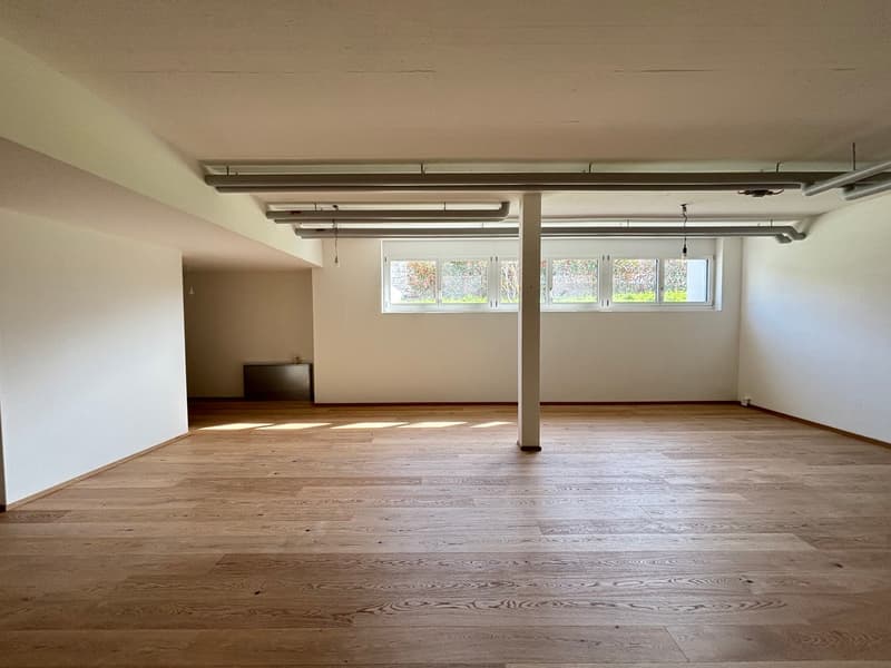 empty room, wooden floor, white walls, windows, central pillar