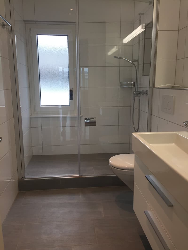 Appartement central, partiellement rénové de 3,5 pièces avec vue sur le lac (2)