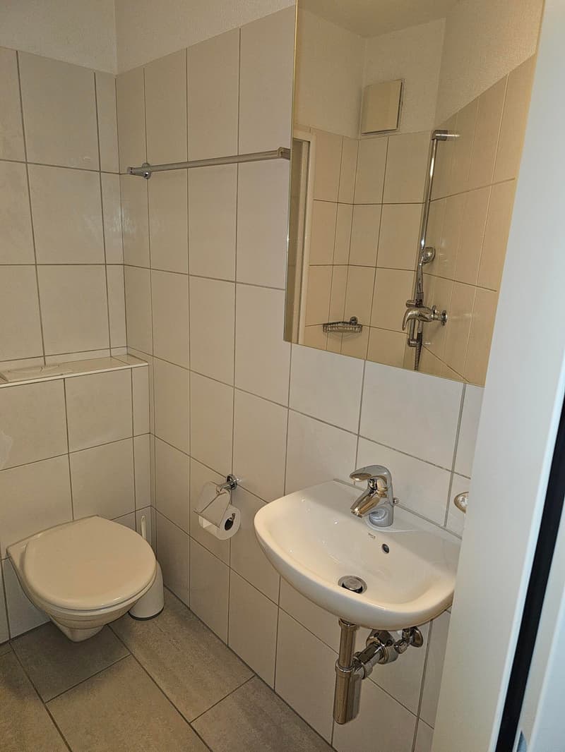Helle 3.5-Zimmer-Wohnung mit Wintergarten und Gartensitzplatz in Gockhausen (9)
