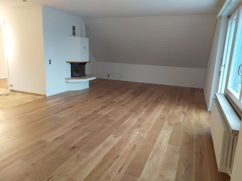 Charmante 4-Zimmer-Dachwohnung mit Seesicht in Küsnacht ZH (5)