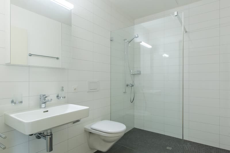 Moderne 2.5-Zimmer-Terrassenwohnung mit Aussicht in Bonstetten (3)