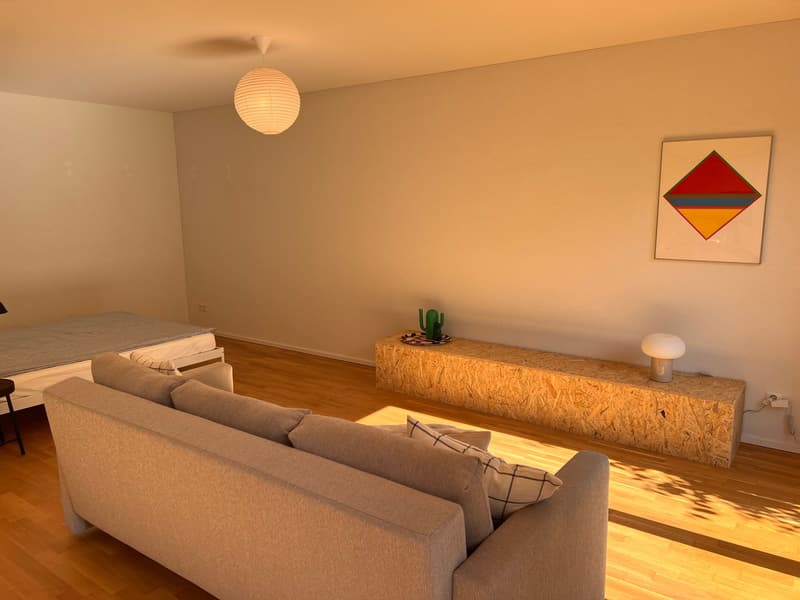 Moderne und helle Wohnung mit Gartensitzplatz (7)