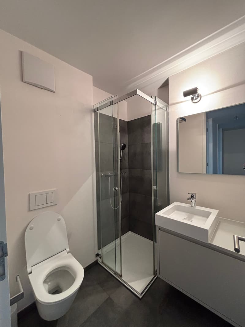Helle 4.5-Zimmer-Wohnung mit Balkon an ruhiger Lage in Zürich 8044 (4)