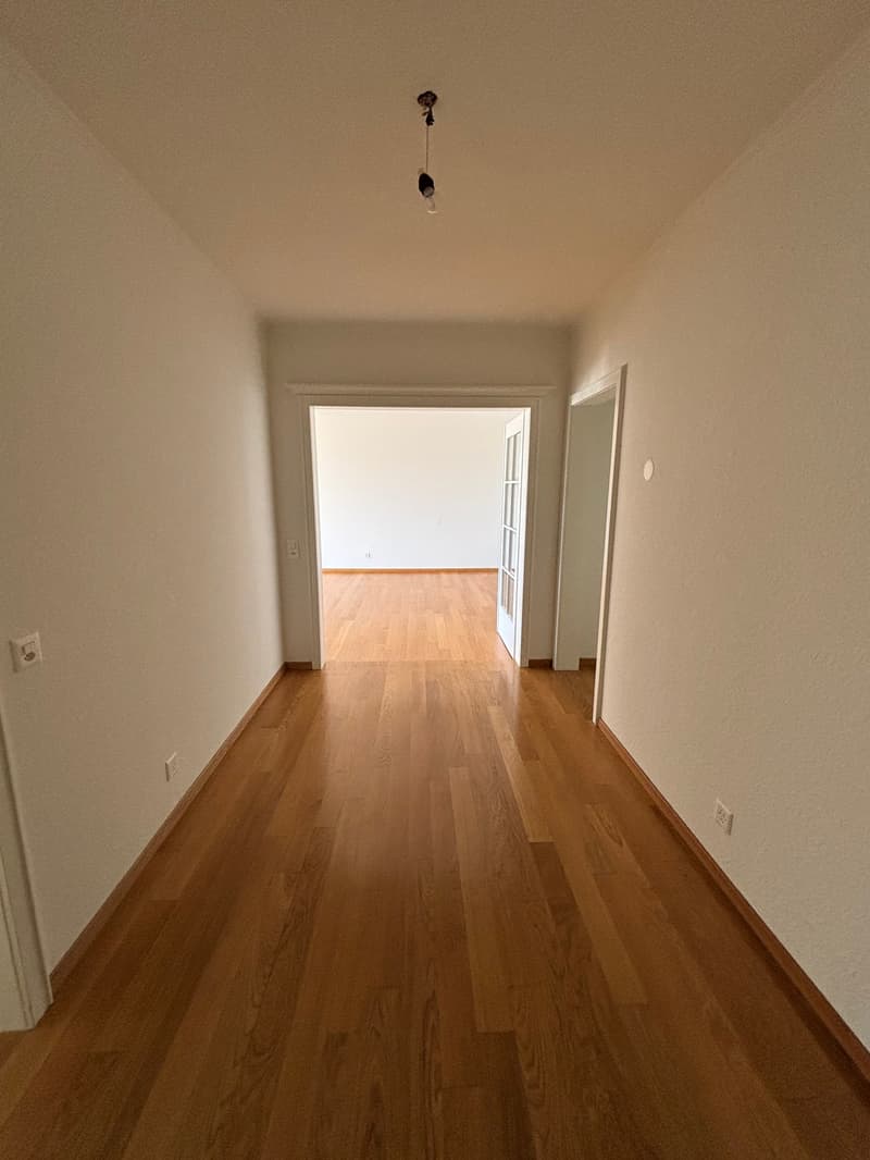 Grosszügige 5.5-Zimmer-Wohnung mit Panoramablick (12)