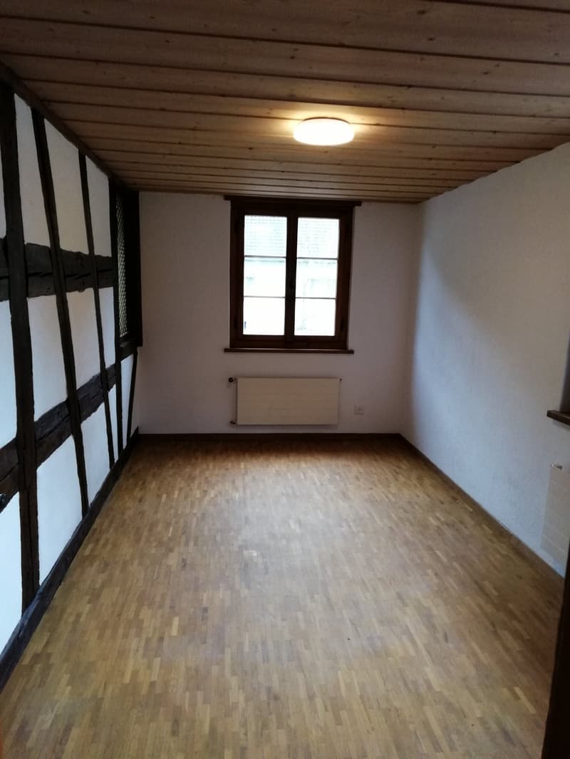 3.5 Zimmer-Wohnung – warm & charmant (4)