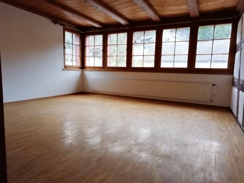 3.5 Zimmer-Wohnung – warm & charmant (2)