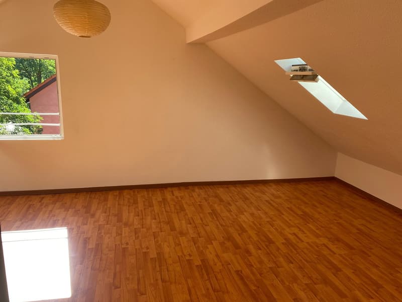 2.5-Zimmer-Dachwohnung im 3. Stock – per sofort verfügbar (3)