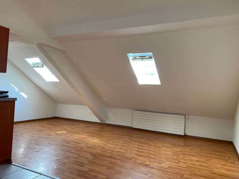 2.5-Zimmer-Dachwohnung im 3. Stock – per sofort verfügbar (4)