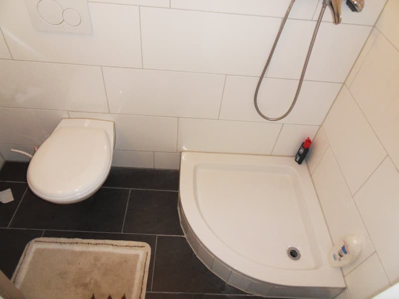 Schöne und helle 2.5 Zimmer-Wohnung an bester Wohnlage (7)
