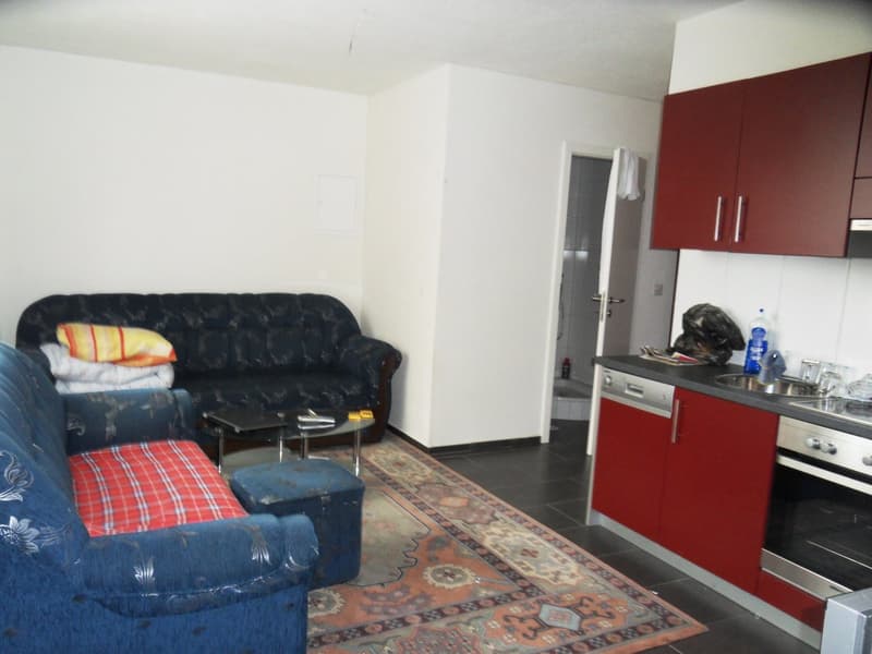 Schöne und helle 2.5 Zimmer-Wohnung an bester Wohnlage (4)