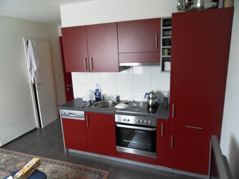 Schöne und helle 2.5 Zimmer-Wohnung an bester Wohnlage (2)