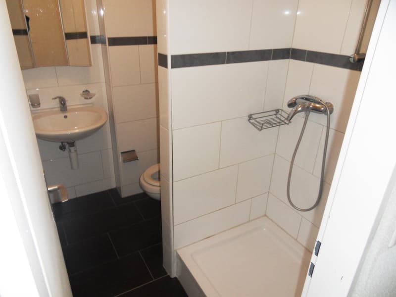 Gemütliche 1.5-Zimmer-Wohnung in Ebnat-Kappel – ruhige Lage mit bester Anbindung (4)