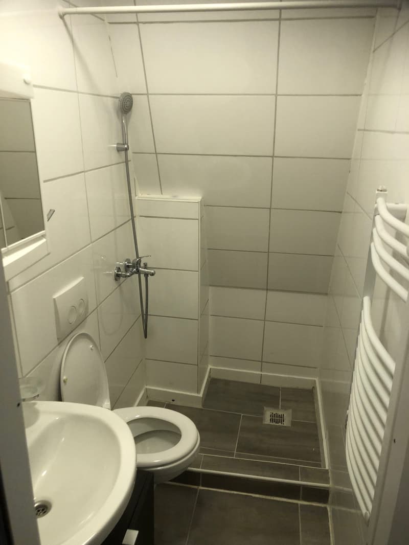 1.0-Zimmer-Wohnung - hell & ruhig in Erlen (4)